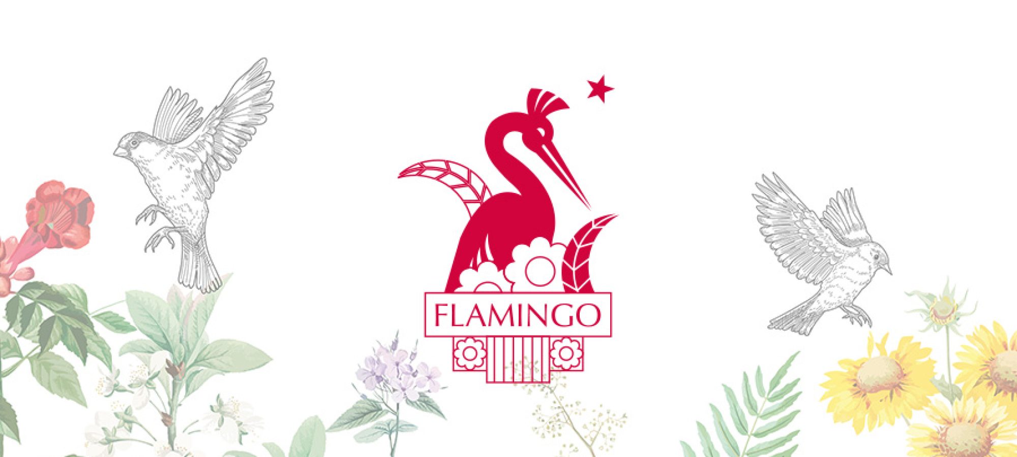 Flamingo Communications | Agence de communications